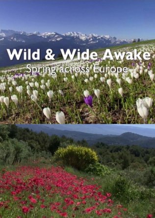    -   / Wild & Wide Awake - Spring Across Europe (2015)