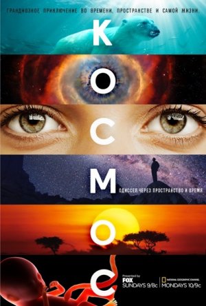 Космос: Пространство и время / Cosmos: A Space-Time Odyssey (Сезон 1) (2014)