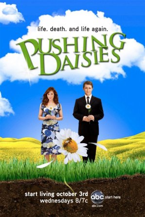 ̸   / Pushing Daisies ( 1-2) (2008-2009)